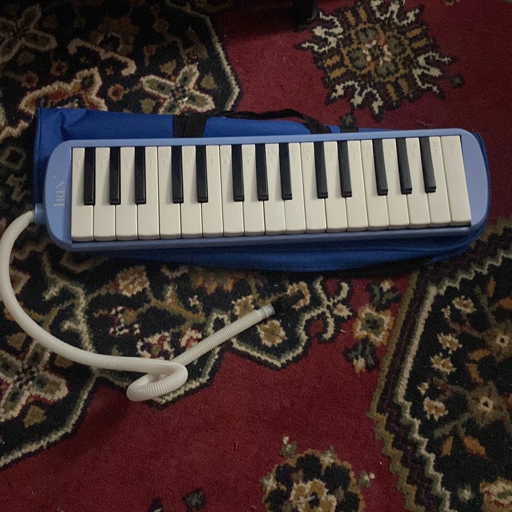 Melodica very pretty to play with
